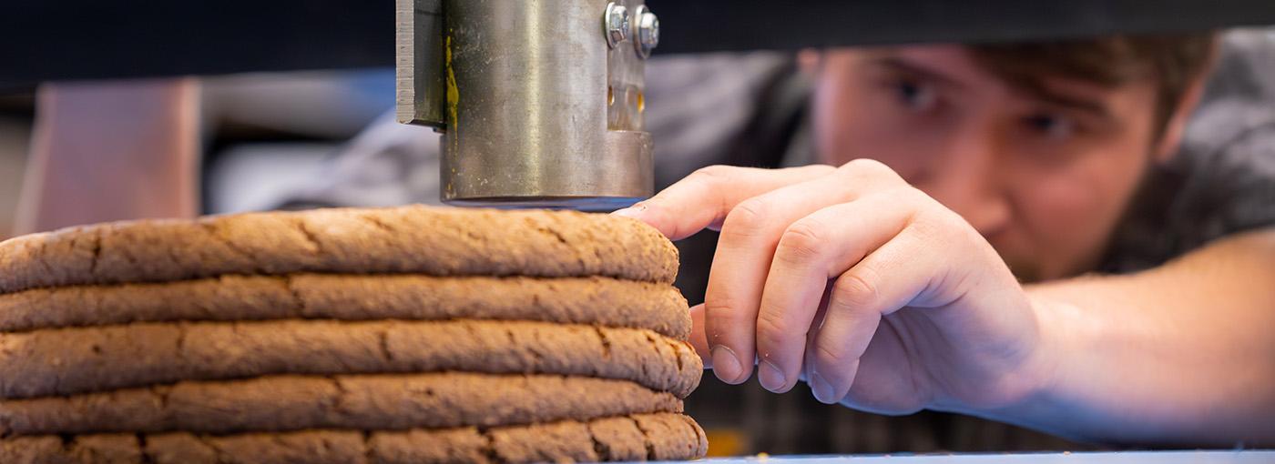 Student looks at 3D-printed wood material